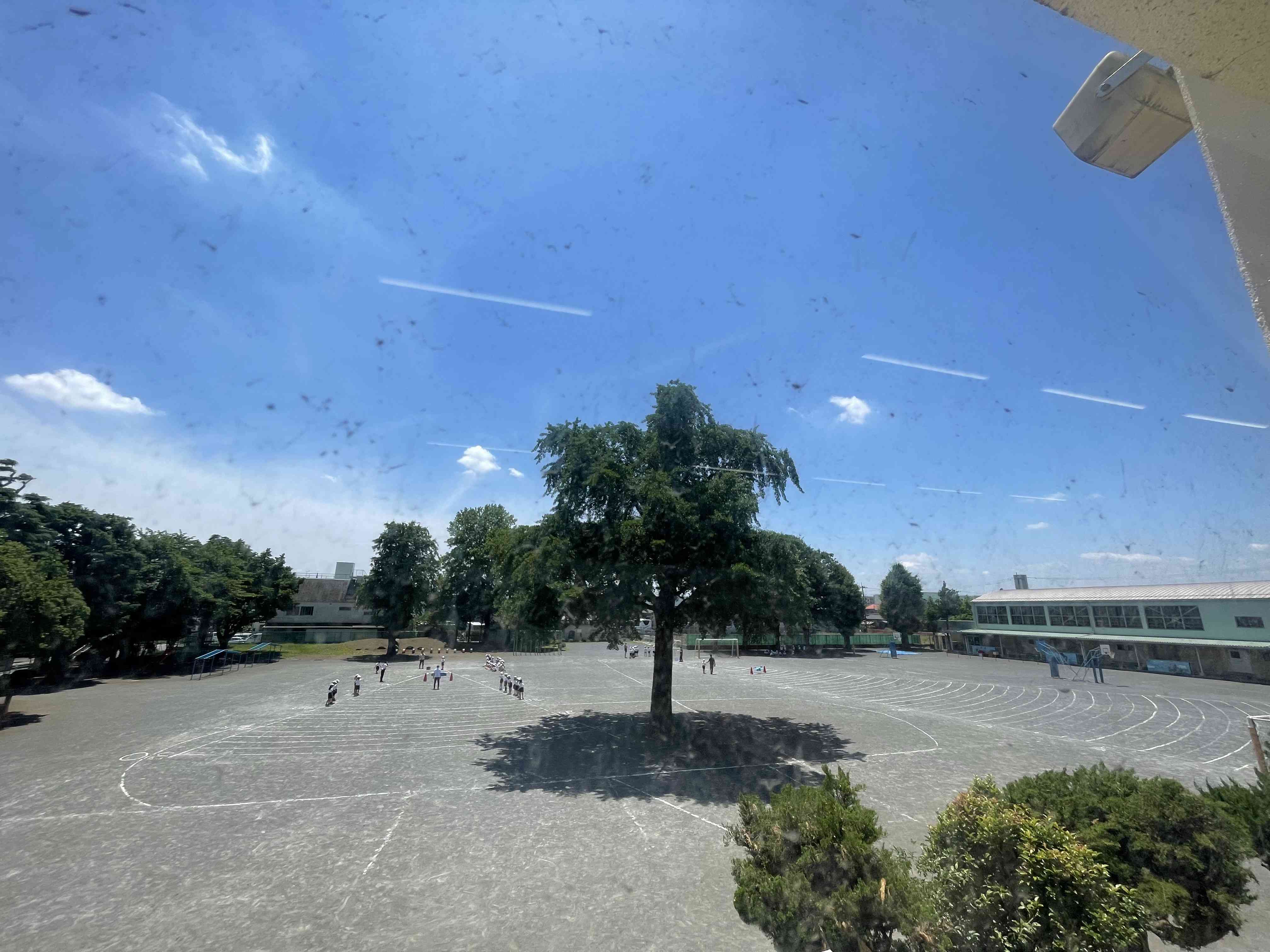 image5