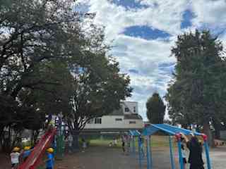 image1