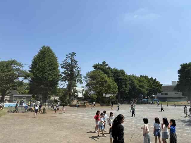 image1