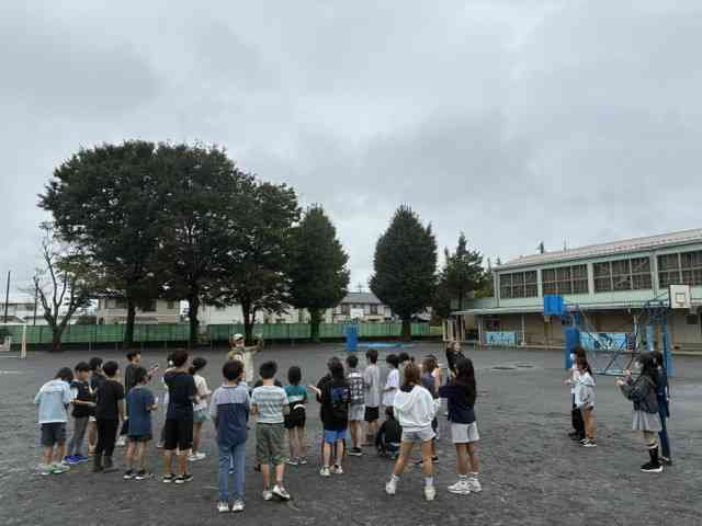 image1